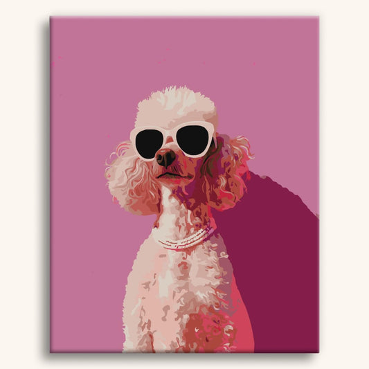 Diva Hund