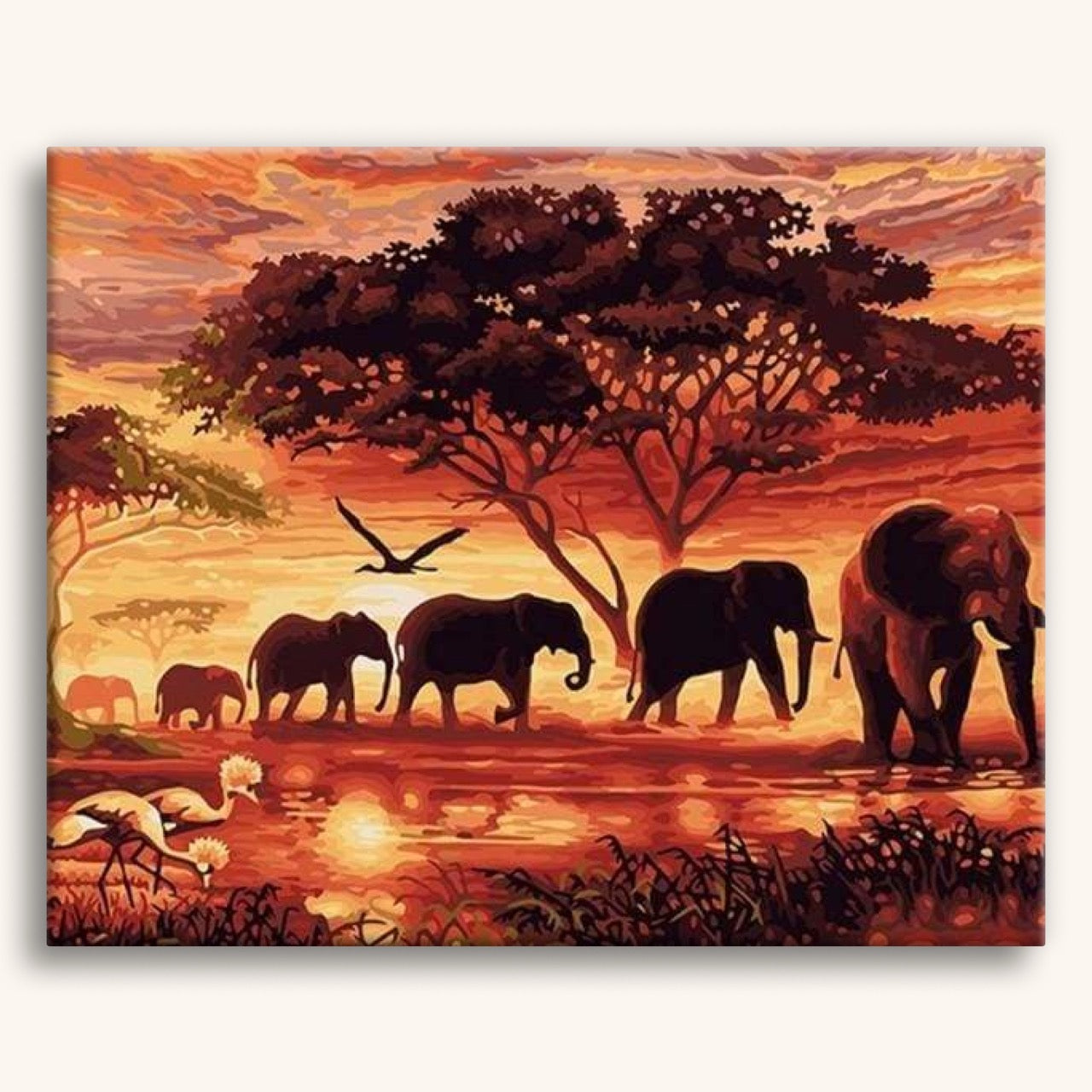 Elephants Sunset